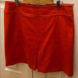 Beautiful bright skirt